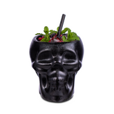 Cast Iron Effect Tiki Skull Mugs 14oz / 400ml